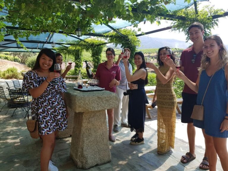 From Porto: Douro Valley 3 Vineyards Tour with Lunch - The Lunch Experience