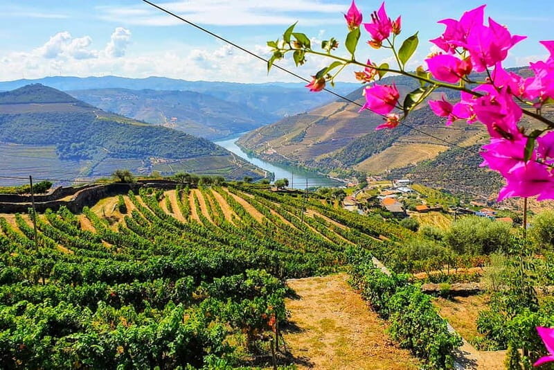 From Porto: Douro Valley with Wineries, Lunch and Boat Trip - Transportation, Group Size, and Value