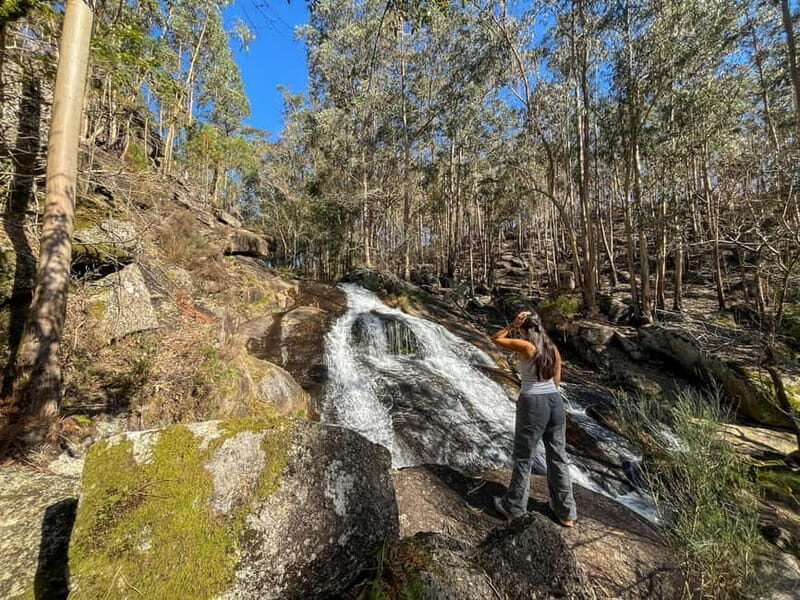 From Porto: Forest Waterfalls & Roman Ruins Trail Tour - What’s Included and What’s Not