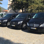 From Porto: Premium Douro Valley Small-Group Wine Tour - Highlights from Guest Reviews