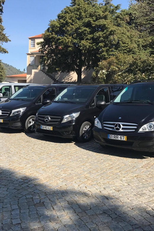 From Porto: Premium Douro Valley Small-Group Wine Tour - Highlights from Guest Reviews