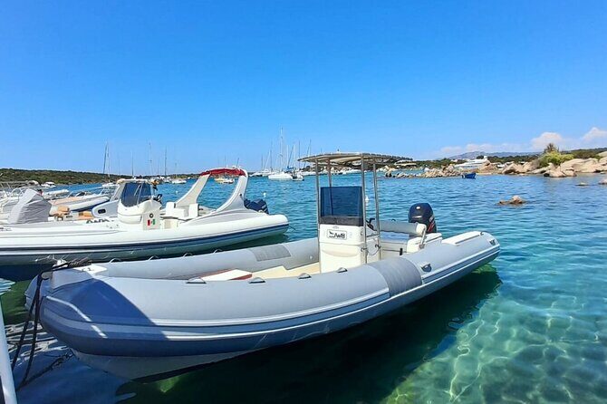 From Porto Rotondo: dinghy tour of Porto Cervo's beaches - Who Is This Tour Perfect For?