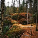From Prague: Full-Day Bohemian Paradise Guided Hiking Trip - What Makes This Tour Stand Out?