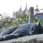 From Prague: Kutná Hora, Bone Church & Folk Museum Tour - What Makes This Tour Stand Out (and What to Consider)