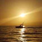 From Puerto Colón: Private Fishing Boat Charter with Lunch - The Experience in Detail: Pros and Cons