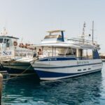 From Puerto Rico de Gran Canaria: Dolphin Watching Cruise - What Travelers Say