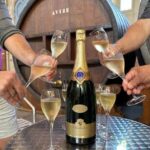 From Reims: Champagne Day Trip to Two Local Domains & Lunch - Who Will Love This Tour?