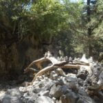 From Rethymno/Chania: Imbros Gorge Hike - Exploring the Itinerary in Detail