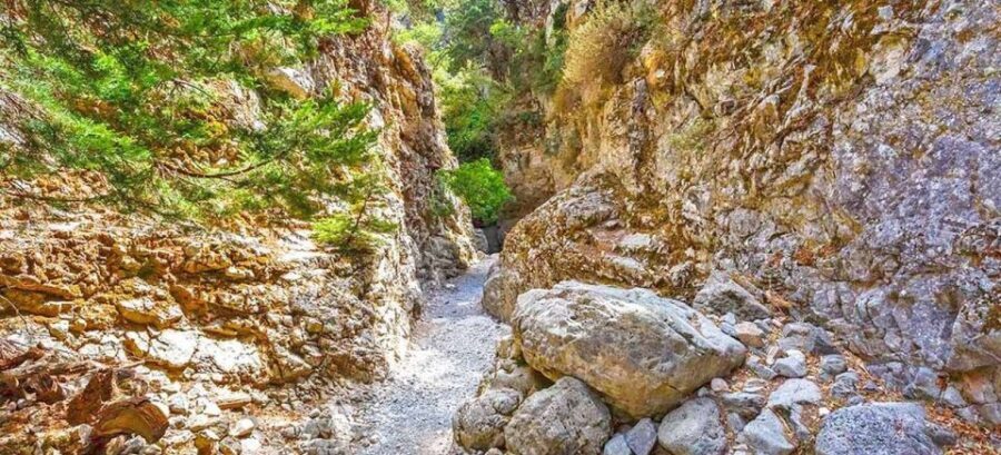 From Rethymno: Imbros Gorge & Libyan Guided Sea Tour - Authentic Stops and Scenic Highlights