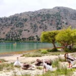 From Rethymno: Souda Bay Boat Tour with Lake Kournas Stop - What Makes It Stand Out