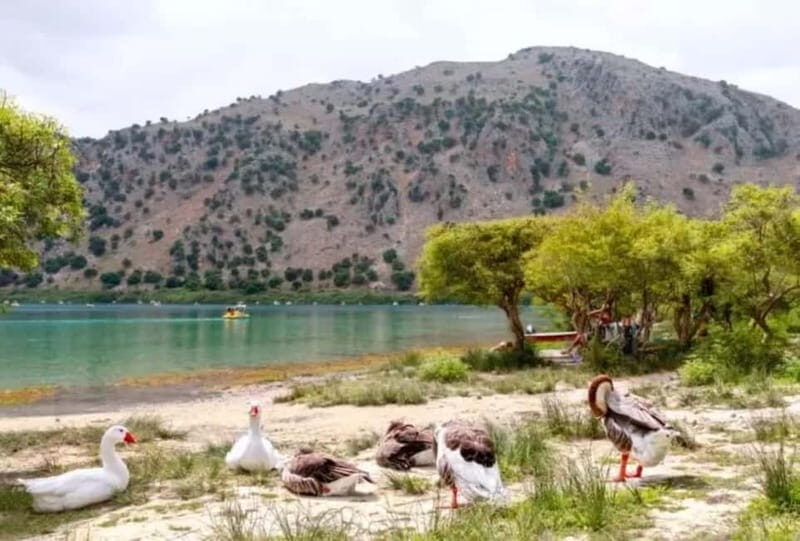From Rethymno: Souda Bay Boat Tour with Lake Kournas Stop - What Makes It Stand Out