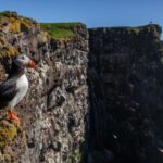 From Reykjavík: 3-Day Tour of the Wild Westfjords - What’s Included & What’s Not