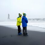 From Reykjavik: Full Day Private South Coast Tour in Iceland - What We Loved About This Tour