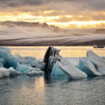 From Reykjavik: Glacier Lagoon and Fjaðrárgjúfur Canyon Tour - Who Should Book This Tour?
