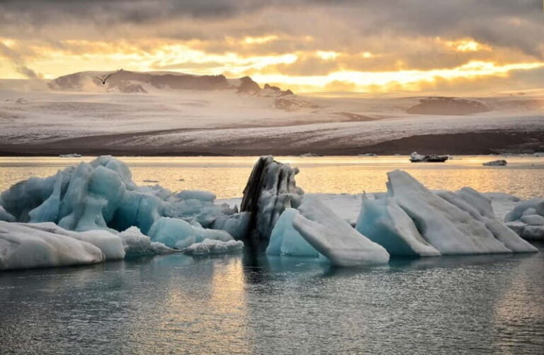 From Reykjavik: Glacier Lagoon and Fjaðrárgjúfur Canyon Tour - Who Should Book This Tour?