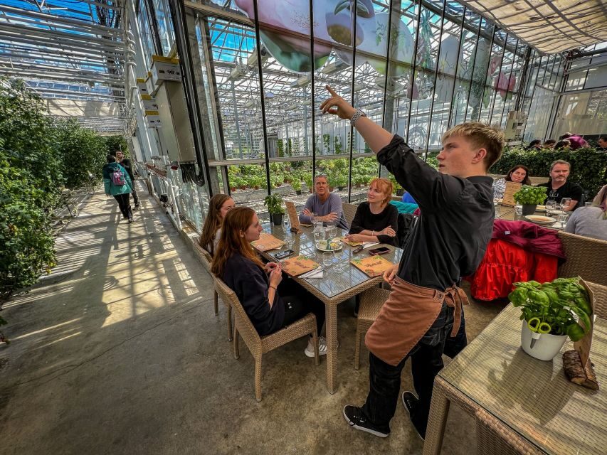 From Reykjavik: Golden Circle, Friðheimar, & Sky Lagoon Tour - Who Would Love This Tour?