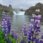 From Reykjavik: Highlands Jeep Tour & Landmannalaugar Hike - Practical Details and What to Expect