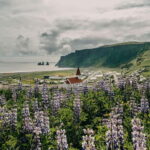 From Reykjavík: South Coast Highlights Day Tour - An In-Depth Look at the South Coast Day Tour