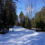 From Riga: Cross-country skiing and beating heart memorial - Practical Details and Value