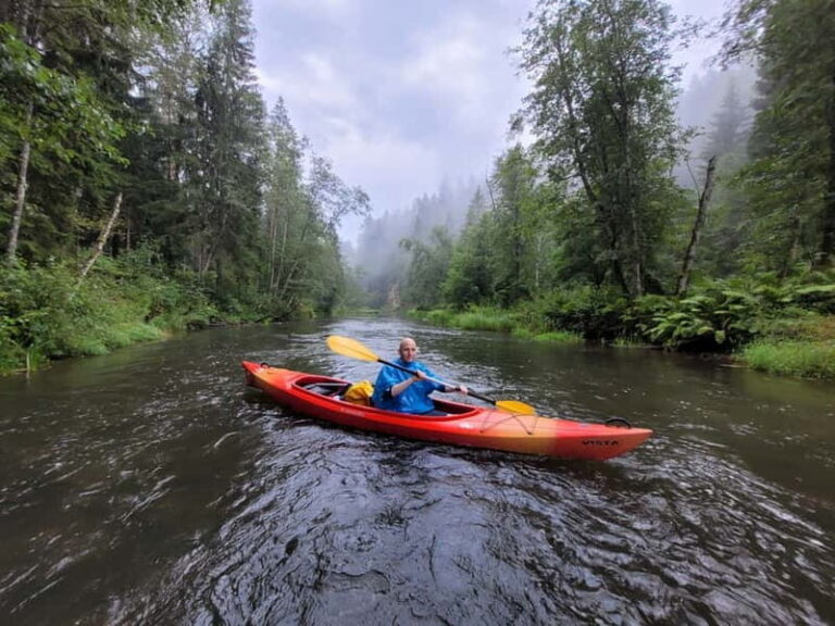 From Riga: Full-Day Scenic Gauja River Valley Kayaking Trip - An In-depth Look at the Gauja River Valley Kayaking Experience