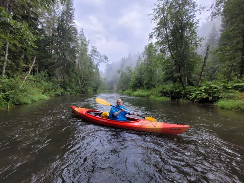 From Riga: Full-Day Scenic Gauja River Valley Kayaking Trip - An In-depth Look at the Gauja River Valley Kayaking Experience