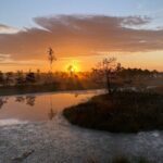 From Riga: Kemeri Bog Boardwalk and Jurmala Seaside - Practical Details and Value