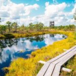 From Riga: Kemeri Bog & Seaside Jurmala - An In-Depth Look at the Tour