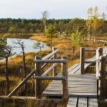 From Riga: Kemeri National Park and Kuldiga Tour - Who Would Enjoy This Tour?