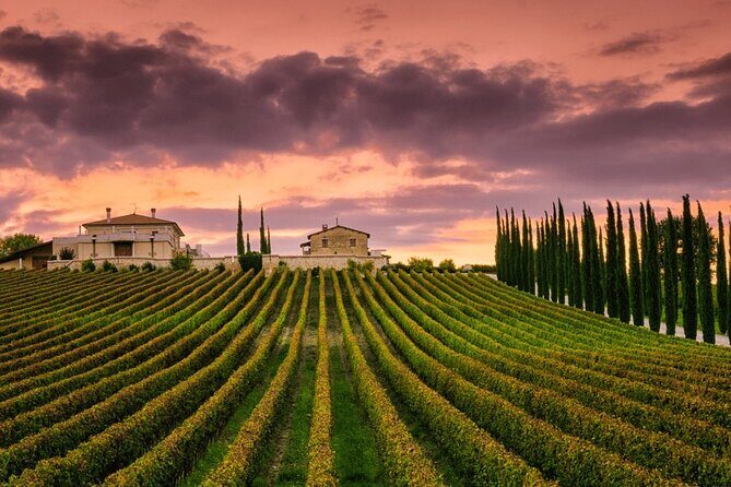 from Rome Montepulciano and Montalcino, the Wine Routes - Montalcino: The Heart of Brunello and Breathtaking Vistas
