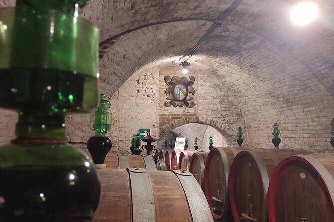 From Rome: Private Day-Tour of Tuscany - What Reviewers Say