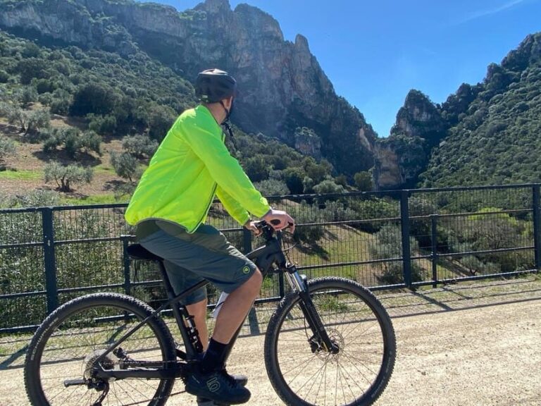 From Ronda: Via Verde de la Sierra Easy Cycling Tour - An In-Depth Look at the Experience