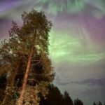 From Rovaniemi: Northern Lights Tour with Campfire Snacks - The Experience in Detail