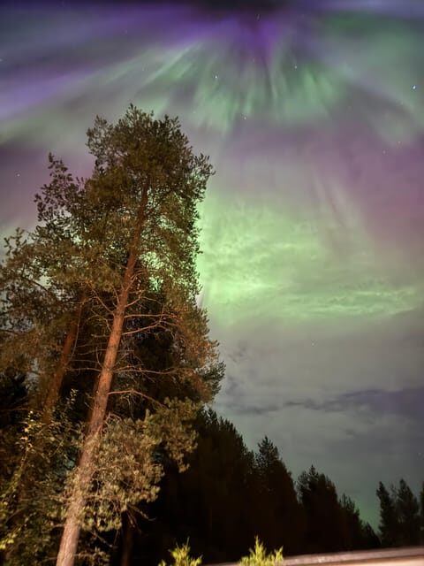 From Rovaniemi: Northern Lights Tour with Campfire Snacks - The Experience in Detail