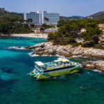 From Sa Coma: East Coast Glass Bottom Boat Trip - What to Expect Onboard