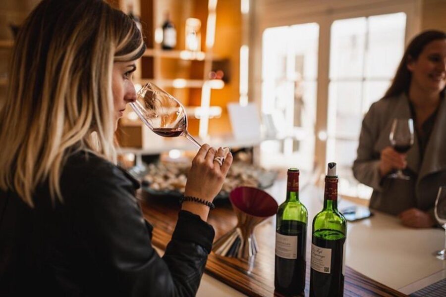 From Saint-Emilion : Half Day Electric Bike Tour - What to Expect from the Itinerary