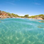 From Salou/Cambrils: Speedboat Tour - Final Thoughts