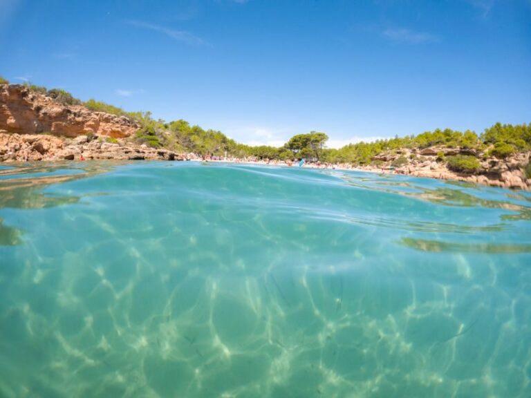 From Salou/Cambrils: Speedboat Tour - Final Thoughts