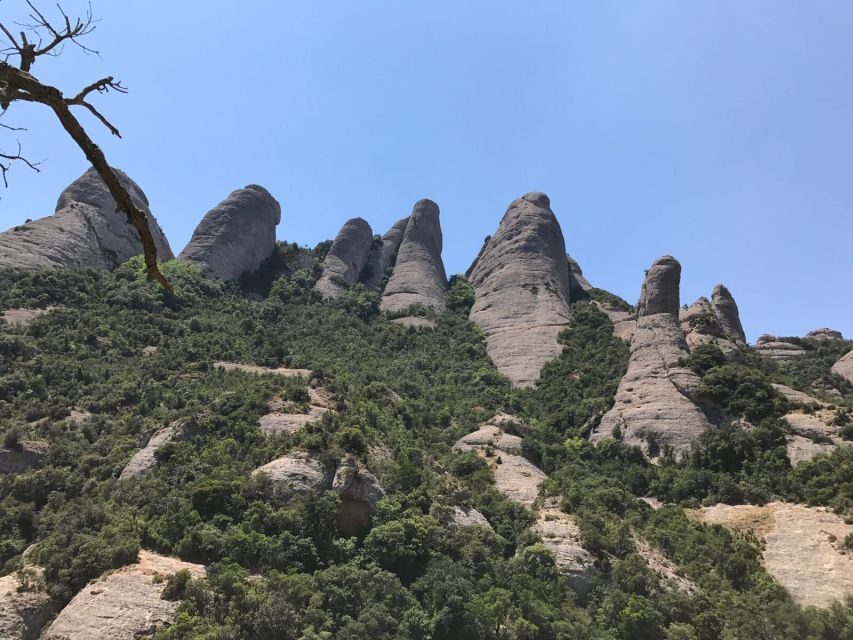 From Salou: Montserrat Monastery and Colonia Güell - Practical Tips for Travelers