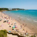 From Salou: Scaladei Charterhouse, lunch and wines - Practical Details: What You Should Know