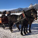 From Salzburg: 8 hour Horse-Drawn incl. 2-hour Carriage Ride - Authentic Experiences and Review Highlights