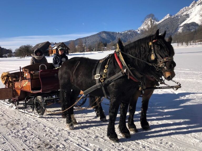 From Salzburg: 8 hour Horse-Drawn incl. 2-hour Carriage Ride - Authentic Experiences and Review Highlights