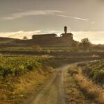 From San Sebastian/Bilbao/Vitoria: La Rioja Wineries Tour - A Detailed Look at the La Rioja Wineries Tour