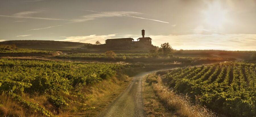 From San Sebastian/Bilbao/Vitoria: La Rioja Wineries Tour - A Detailed Look at the La Rioja Wineries Tour