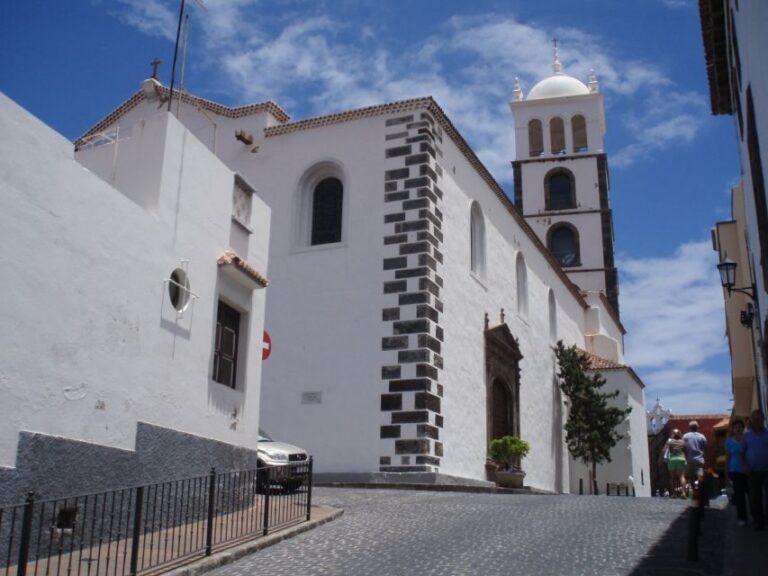 From Santa Cruz de Tenerife: Masca & Garachico Private Trip - Whats Included and Whats Not