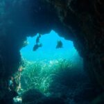 From Santa Pola: Snorkel Trip in Tabarca Island - Final Thoughts on the Snorkel Trip in Tabarca Island