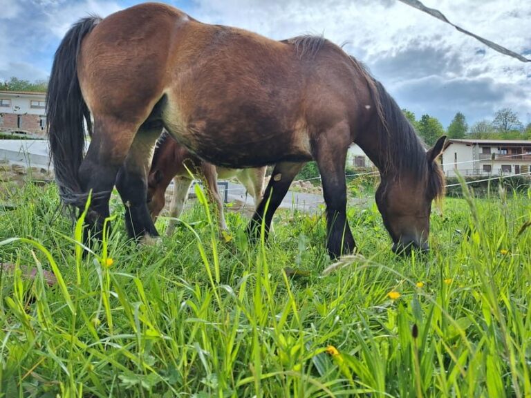 from Santander: Fascinating Saint Sebastian of Garabandal - The Value for Money