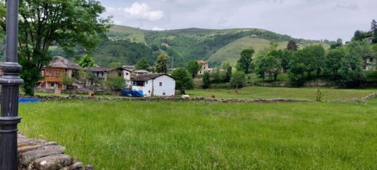 From Santander: Gastronomic Tour - Practical Details: What the Tour Includes and What to Expect