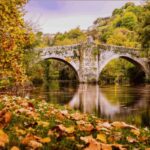 From Santiago: Ribeira Sacra History & Art Trip with Cruise - Practical Details and Value