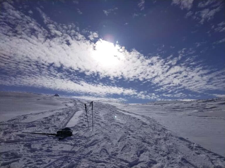 From Sarajevo: Mount Jahorina Snowshoeing Tour - The Journey to the Summit: What to Expect