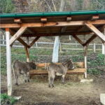 From Sarajevo: Visoko Pyramids, Plantations & Horse Riding - Farm Life and Adventure at Malak Farm